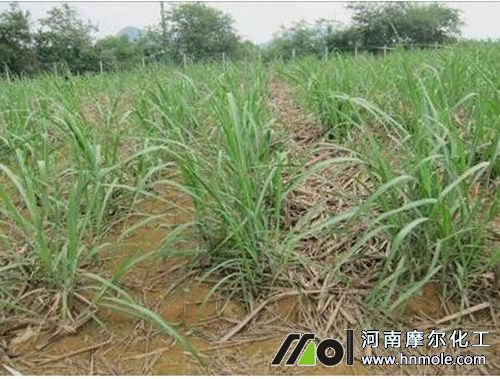 ��������ʩ��