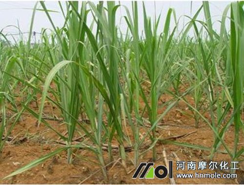 ������Y��ʩ��