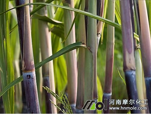 �����o����ʩ��