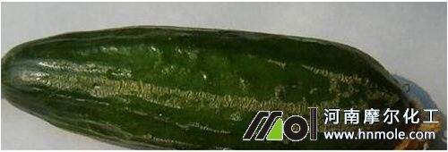 �S��ȱ��������F