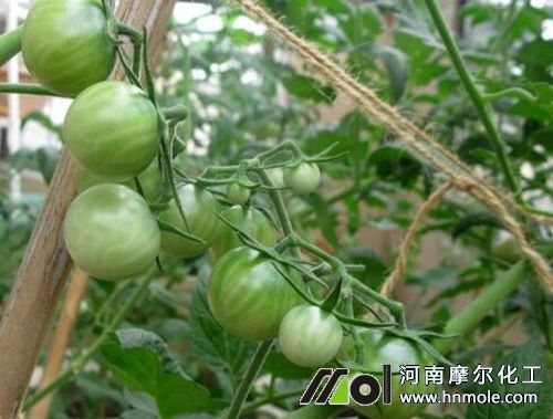 ����ˮ�ܷʃ�ˮϡጷ���