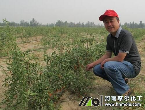 ��轵ι�ʩ��