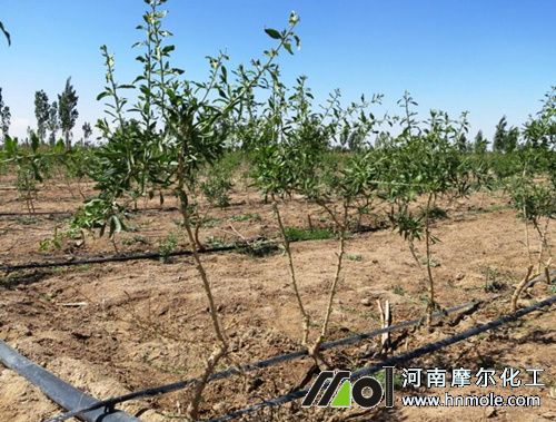 ��轵ι�ʩ�ʷ���