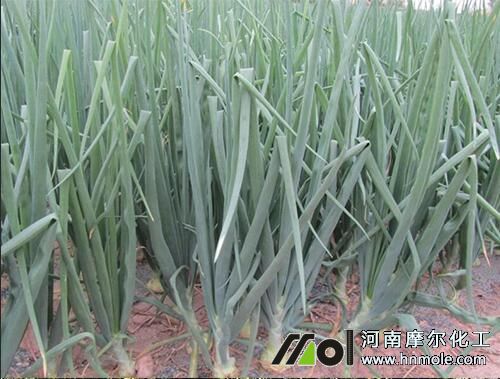 ���[��Ҫʲô�ӵķ���