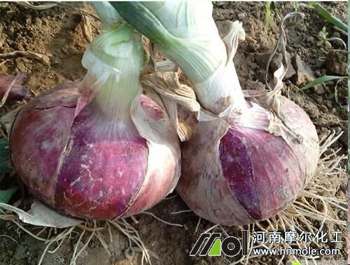 ���[ˮ�ܷ�ʹ�÷���