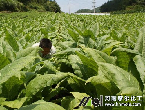 ���~���ʩ��