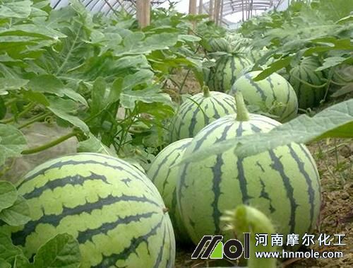 ���ϸ������L��ʩ�ʷ���