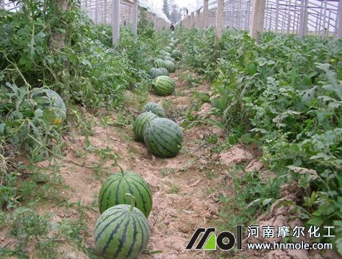 ����ˮ�ܷ�ʹ�÷���