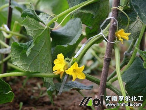 �S���_����ʩˮ�ܷ�