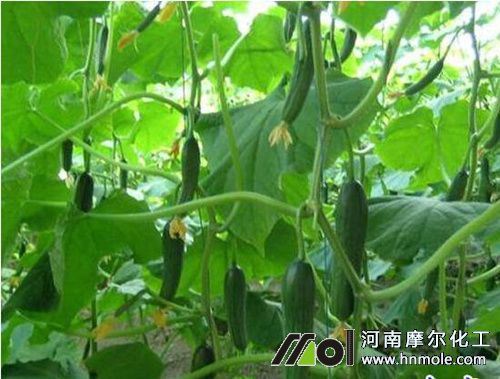 �S�ϽY(ji��)����ʩˮ�ܷ�