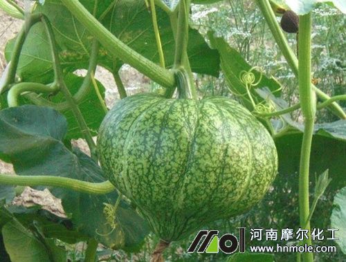 �Ϲ���ôʩ��