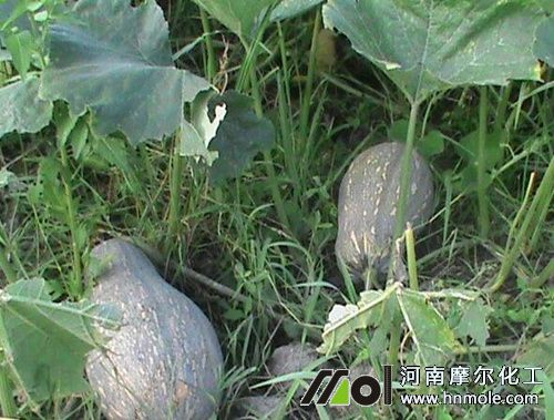 �Ϲ�ˮ�ܷ��÷�