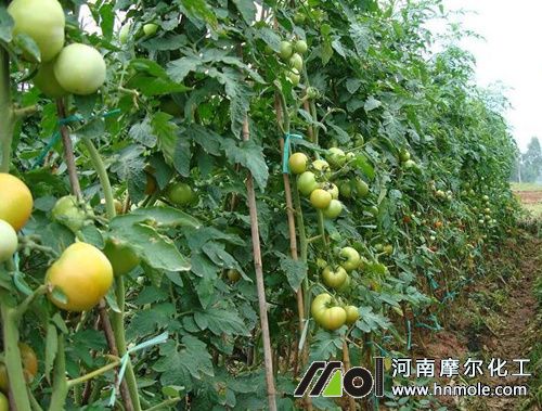 ����ˮ�ܷ�����