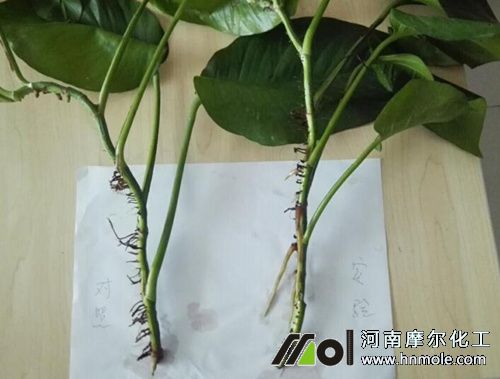 ����ˮ�ܷ�ʩ��Ч��