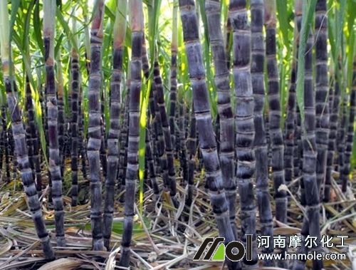 ����������c