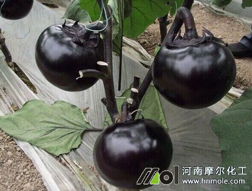 ����׷ʲôˮ�ܷʺ���