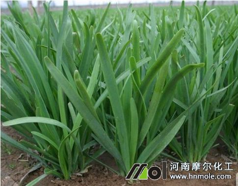 �²���ʲô�����L(zh��ng)����