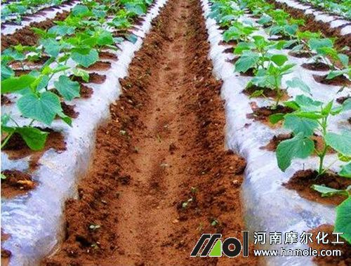 ˮ�ܷ����S���ϵ�ʩ��Ч��