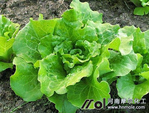 �Y(ji��)������������c