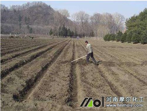 �Nֲ�Ϲ�ʩ����