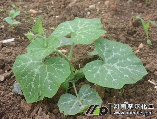 �Ϲ�����