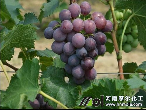 ���ћ_ˮ�ܷʕr(sh��)�g