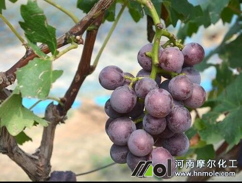 ����ˮ�ܷ�ʩ�ʼ��g(sh��)