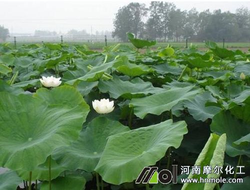 ɏźʩ�ʕr�gҪ��