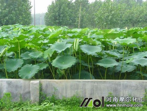 ɏźˮ�ܷ��÷�����