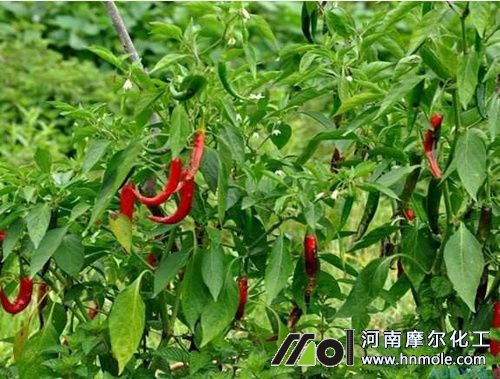 ����������c