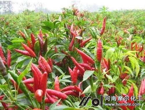 ���콷������c(di��n)