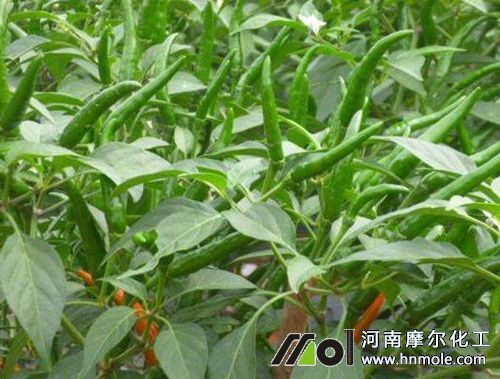 ���콷ˮ�ܷ����x��