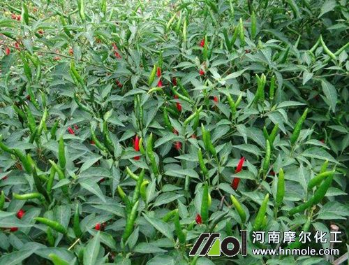 ���콷�Nֲ���g(sh��)