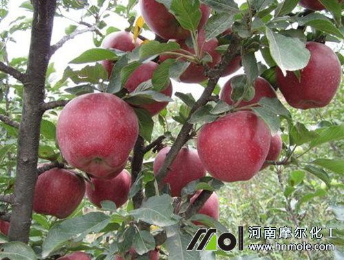 ˮ�ܷ��ڹ����ϵ��÷�