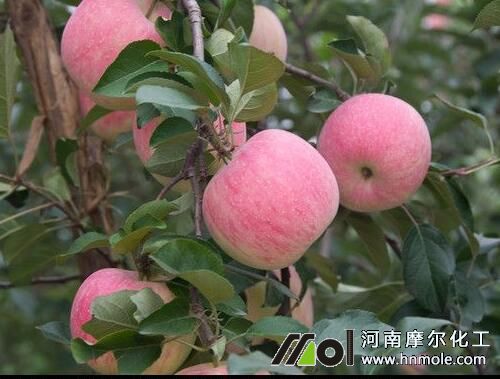 ����ˮ�ܷ�������ϡ�