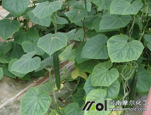 �S��ˮ�ܷ��÷�