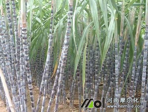 ��������ʩ�ʷ���