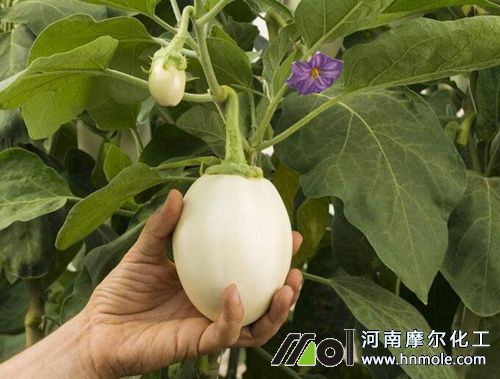 �������m����Щˮ�ܷ�