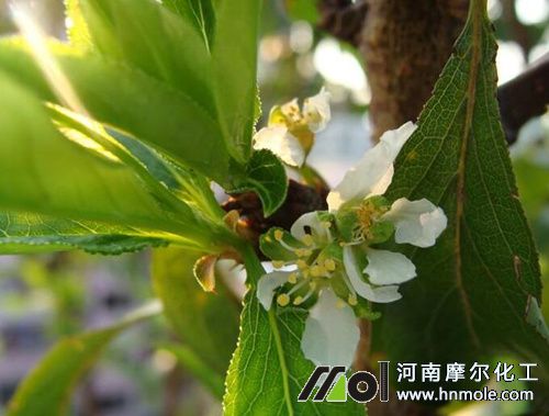 �������L��ʩ�ʷ���