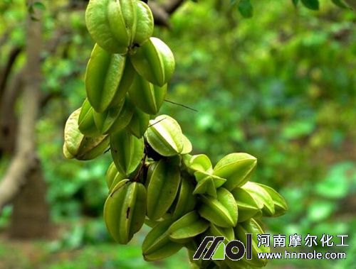 �������L��ʩ�ʷ���