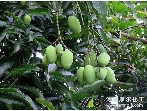 â��������ʩ�ʷ���