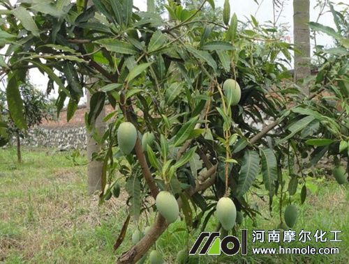 â���Nֲ�l��