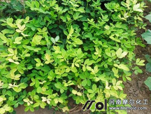 �����~�Ӱl�Sԭ��