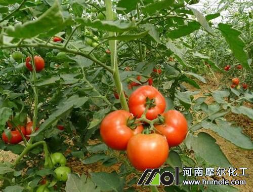 �������ƫ������