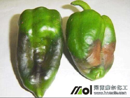 ����ȱ�}�������F�D