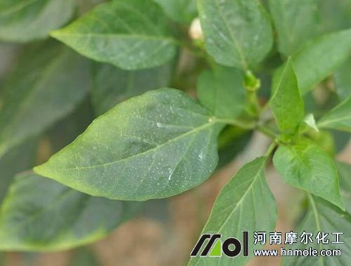 ����ȱ�}�~�ӱ��F�D