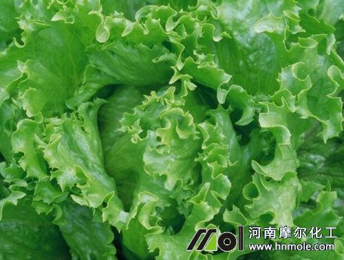 �Y������������c