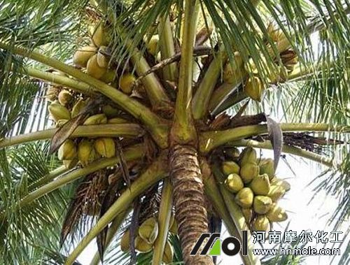 ˮ�ܷ���Ҭ����Ч��