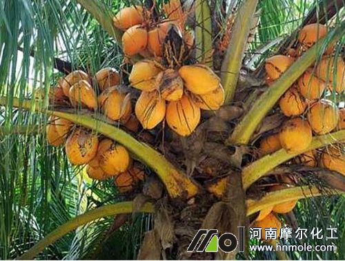 Ҭ�Ә�ʩ�ʼ��g(sh��)