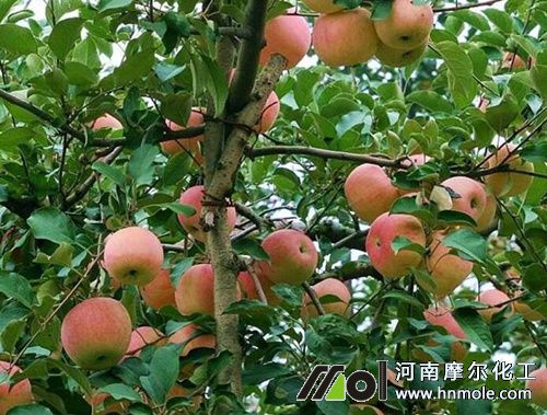 �O��������c